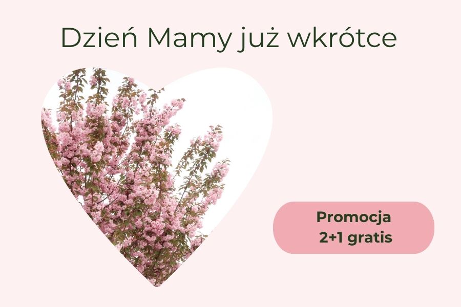 Kampania Promocyjna na Dzień Mamy